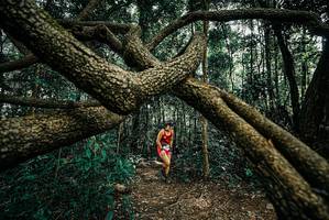 BIB: 
                            <button type="button" onclick="openModal(25664942)" class="btn btn-primary btn-sm float-right btn-popup" data-toggle="modal" data-target=".modal-high-quality">
                        <i class="fas fa-shopping-cart"></i> Add to Cart
                    </button>
                                            <button type="button" onclick="isThisMe(25664942, true)" class="btn btn-success btn-sm float-right btn-popup btn-isme hidden" data-toggle="tooltip" data-placement="bottom" title="นี่คือรูปของคุณใช่ไหม คลิกที่นี่เพื่อเอาเข้าอัลบั้ม">
                        <i class="fas fa-plus"></i> Add to album
                    </button>
                    <button type="button" onclick="isThisMe(25664942, false)" class="btn btn-warning btn-sm float-right btn-popup btn-isnotme hidden">
                        <i class="fas fa-ban"></i> Remove from album
                    </button>